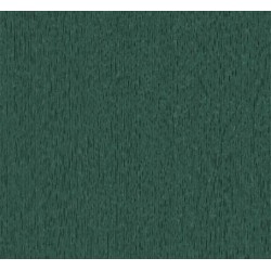 PAPIER BOIS FORET