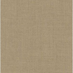 TDM BEIGE