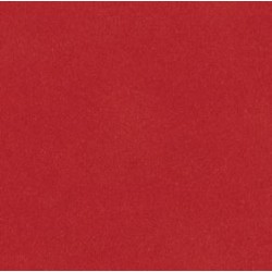 SUEDEEN CORAIL