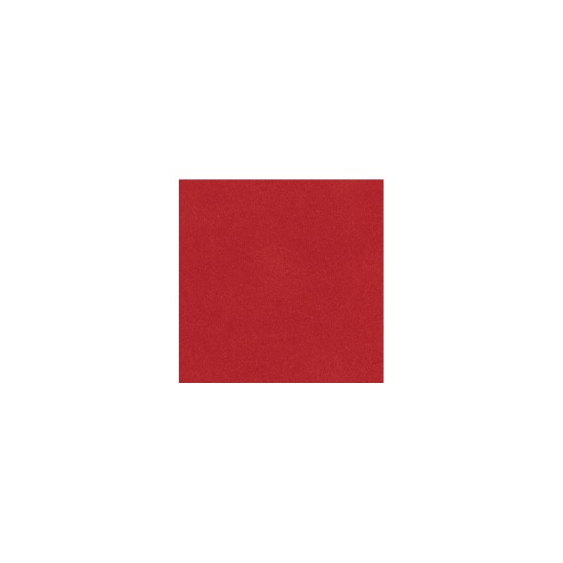 SUEDEEN CORAIL