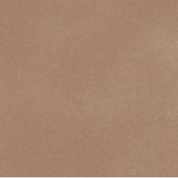 SUEDEEN BEIGE