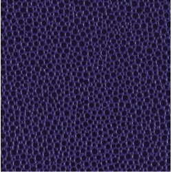 SK VIOLET FONCE