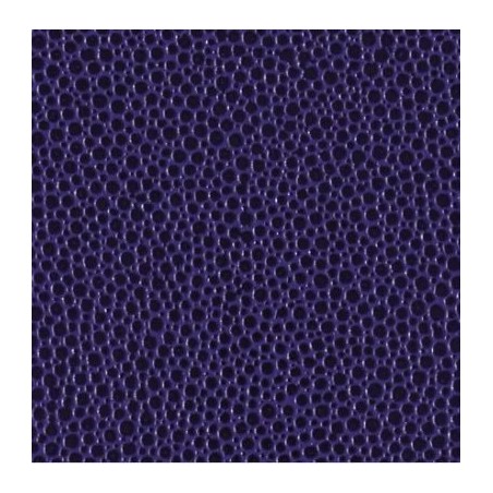 SK VIOLET FONCE