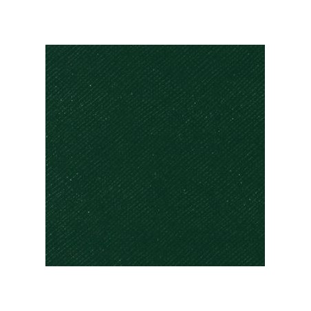 SK VERT FORET STRIE
