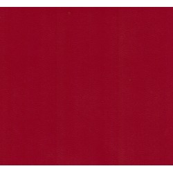 SK ROUGE LISSE