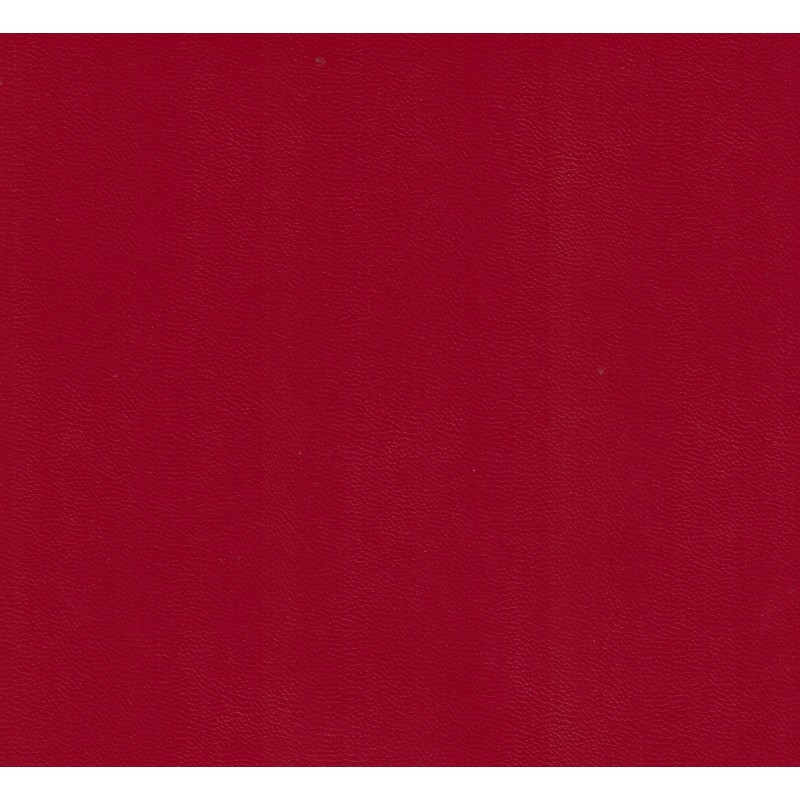 SK ROUGE LISSE