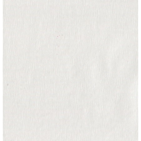 SK BLANC NACRE STRIE