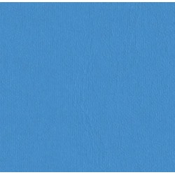 SK CIEL